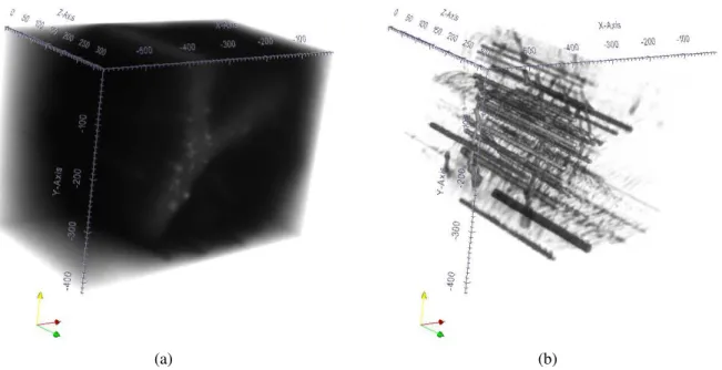 Figura 4.6: Resultado do processamento 2D+t. (a) Imagem espaço-temporal original formada pelo empilhamento dos quadros do vídeo e (b) imagem processada para o realce de estruturas tubulares representando a trajetória dos leucócitos no vaso sanguíneo ao lon