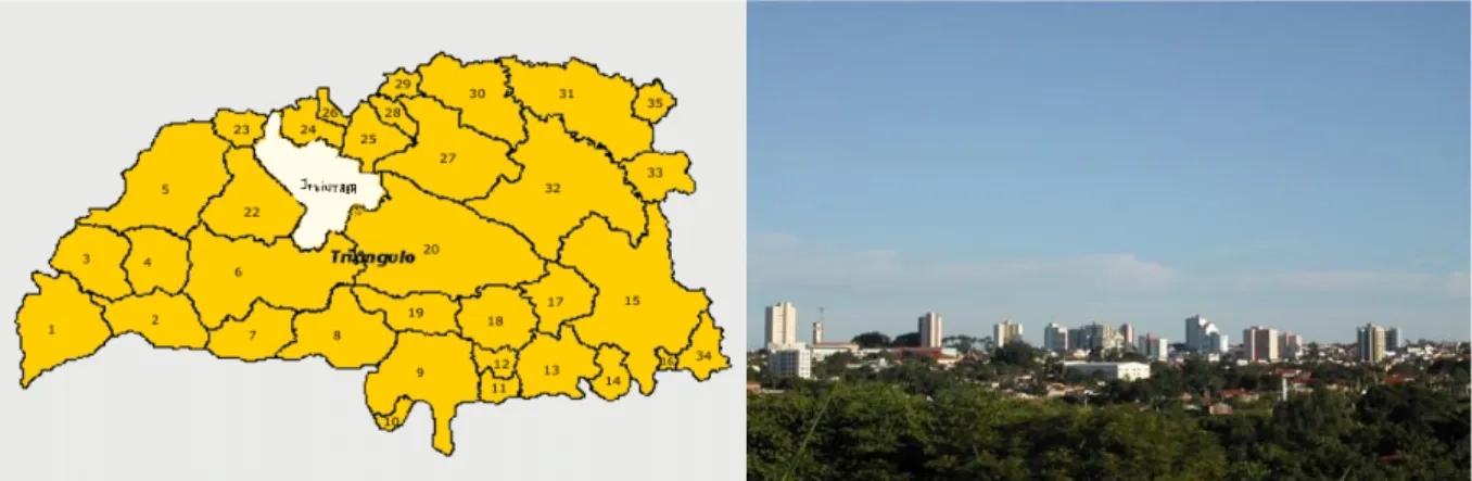 Figura 1: Mapa do Pontal do Triângulo Mineiro. 