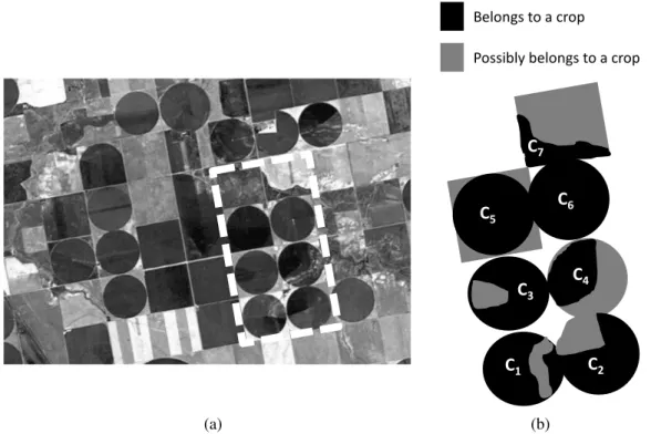 Figure 1.1: Crops in remote sensed image and after identification. (a) A remote sensed image (adapted from Crop Circles in Kansas, by NASA Image of the Day Gallery)