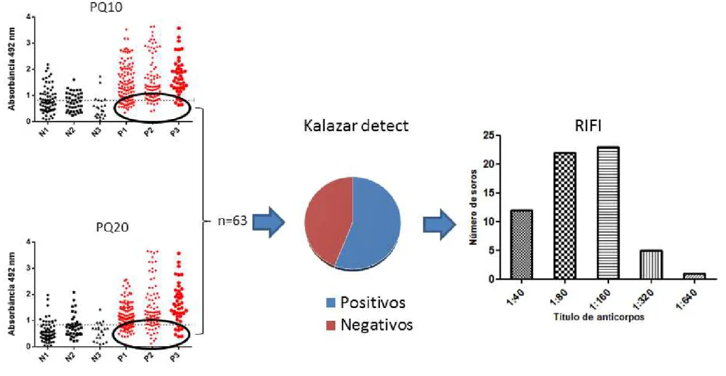 Figura 11: Fluxograma dos ensaios realizados com as amostras classificadas como falso-negativas pelas PQs