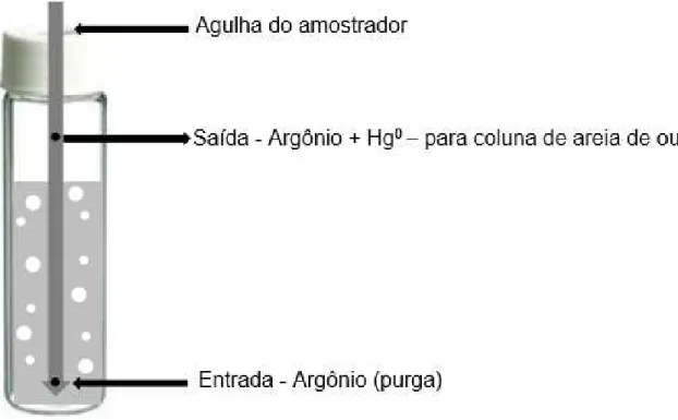 FIGURA 5.3 - Vial de purga para quantificação de mercúrio total. 