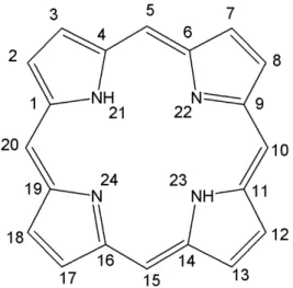FIGURA 1.2 - Numeração dos átomos do anel porfirínico segundo a IUPAC 6 . 