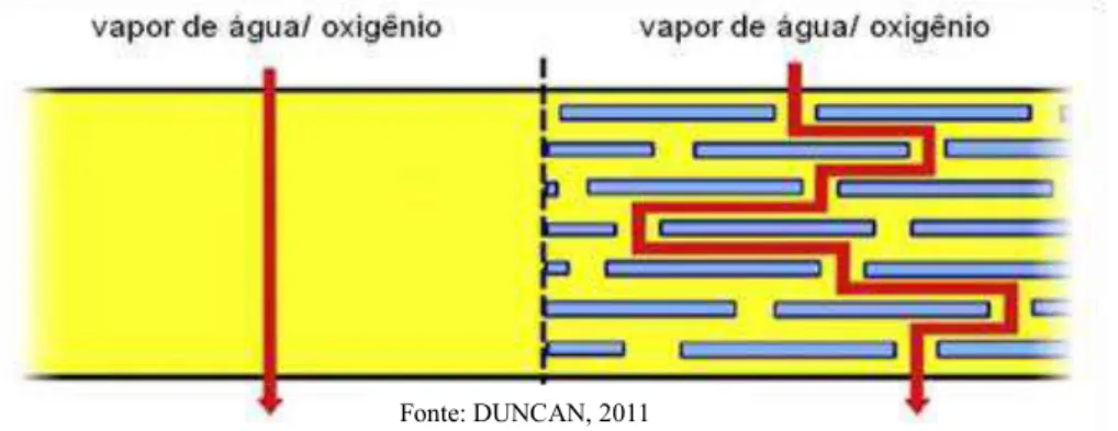 Figura 1: Ilustração da ação protetora de um revestimento comestível com e sem nanopartículas