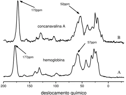 Figura 10: Espectros de RMN no estado sólido obtidos com a técnica de CPMAS. O espectro  A é da hemoglobina e B: concanavalina A
