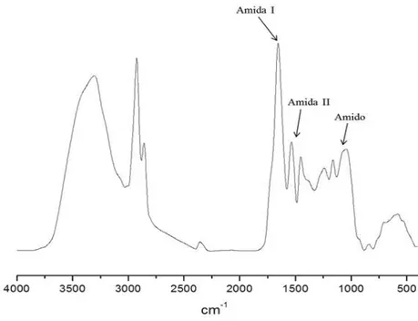 Figura  18:  Espectro  no  Infravermelho  de  Kafirinas  adquiridas  pelo  primeiro  método  de  extração proposto (sem uso de agente redutor)