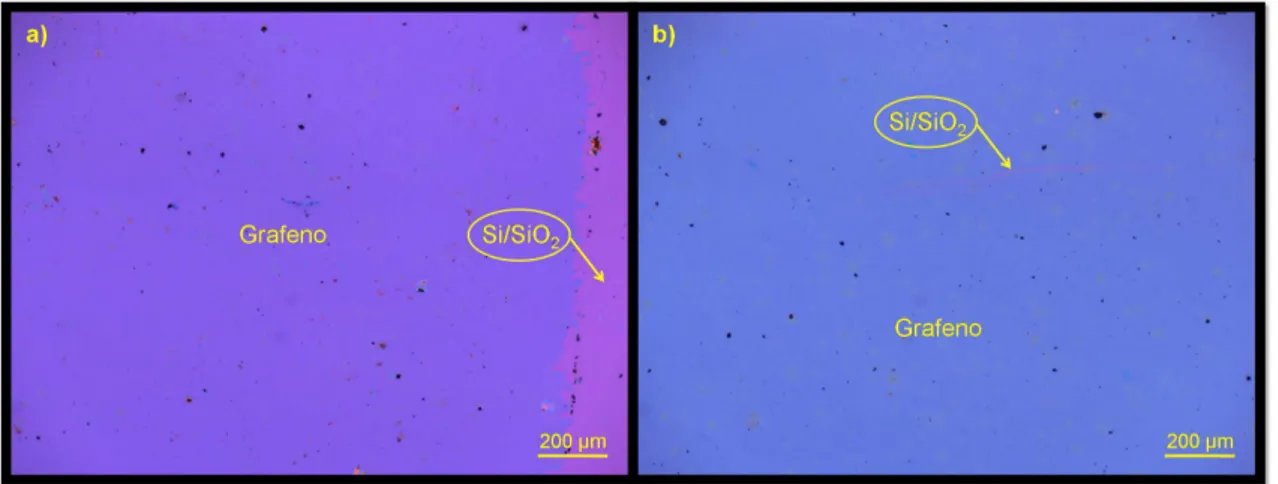 Figura 3.5: Fotografias de amostras prontas, na etapa (13) da Fig.3.3. Note o contraste ´ optico entre o grafeno e o substrato de Si/SiO 2 