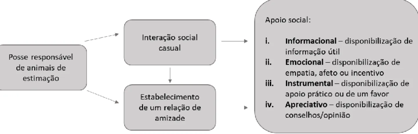 Figura 3: Diagrama dos diferentes tipos de relação social facilitada pelos pets. Retirado de Wood  et al., 2015, p.3 