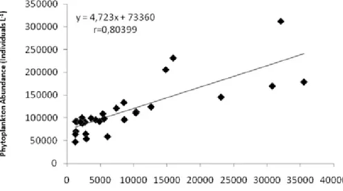 Figure 6 –  Linear correlation between zooplankton abundance  and phytoplankton abundance at the  sampling stations