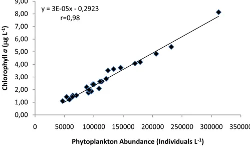Figure 8 –  Linear correlation between chlorophyll a  and phytoplankton abundance at the sampling  stations