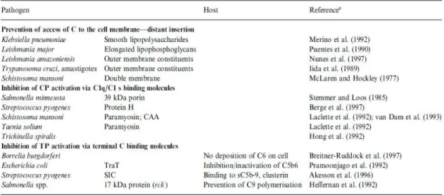 Tabela V: Proteases secretadas por diferentes agentes patogénicos. 