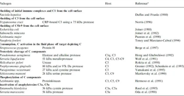 Tabela VI: Proteases libertadas por agentes patogénicos. 