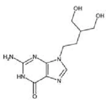 Figura 11: Molécula Penciclovir 