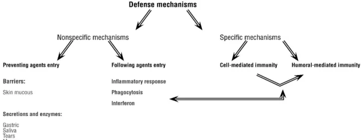 Figura 2: Mecanismos específicos e não específicos. Adaptado de Silva et al., 2006 
