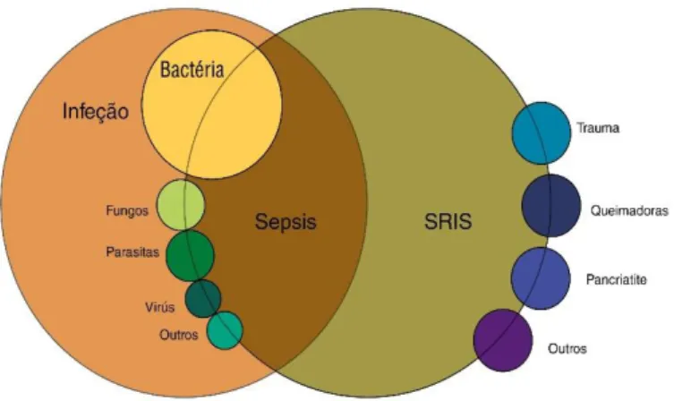 Figura 6: Diferença entre sepsis e SIRS. Adaptado de Davies e Hagen, 1997. 