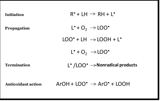 Figure 1.2: Classification of inducers of lipid peroxidation. Adapted from (Schnitzer et al.,  2007b) 