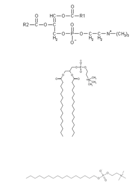 Figure 1.10: Structure of lipid used in different works. For R1, R2 composition please see  text