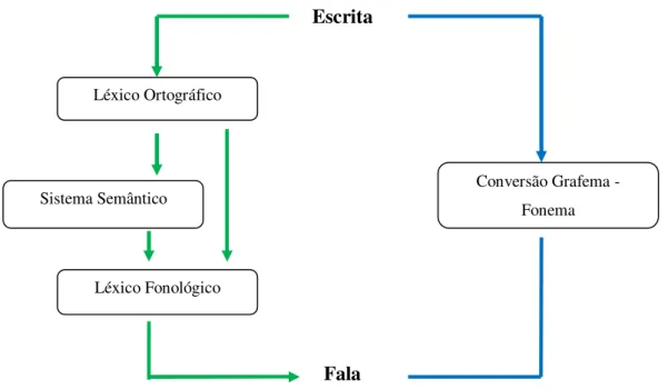 Figura 1 – Modelo de dupla via para a leitura em voz alta simplificado. Via fonológica a azul e via lexical a verde
