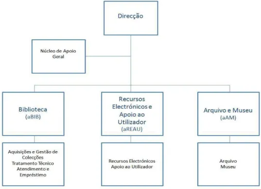 Figura 5: Organograma dos SBIDM 