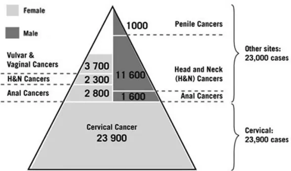 Figura 10. Cancros diagnosticados anualmente na União Europeia devido à presença de HPV  (Adaptado de Bonanni et al., 2011)