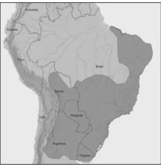 Figura 2. Distribuição geográfica de Mazama gouazoubira, em hachurado.  (BLACK; VOGLIOTTI, 2008) 