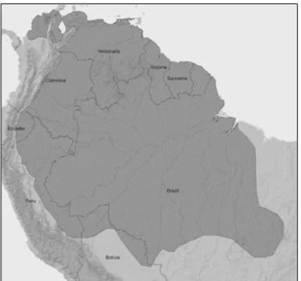 Figura 4. Distribuição geográfica de Mazama nemorivaga, em hachurado.  (Fonte: ROSSI, R