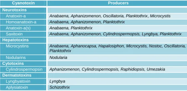 Table 1 – Main cyanobacteria genera producers of cyanotoxins. Adapted table from Carmichael (2001)