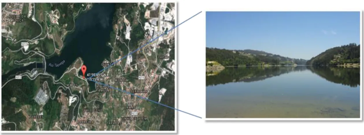 Figure 2 - Sampling site at Torrão Reservoir. 