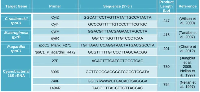 Table 2 - Primers applied in conventional PCR and their characteristics. 