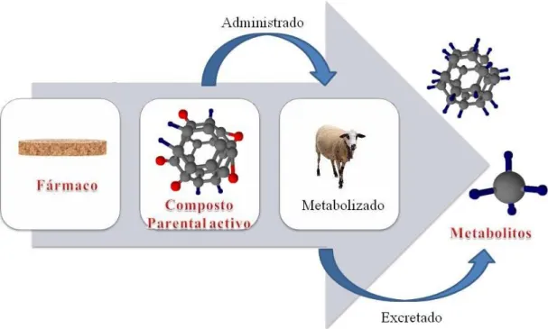 Figura 2.2.  –  Excreção dos fármacos e metabolitos para o meio ambiente. 
