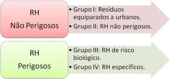 Figura 2.6.  –  Classificação por grupos dos RH de acordo com o Despacho N.º 761/99, publicado a  31 de agosto