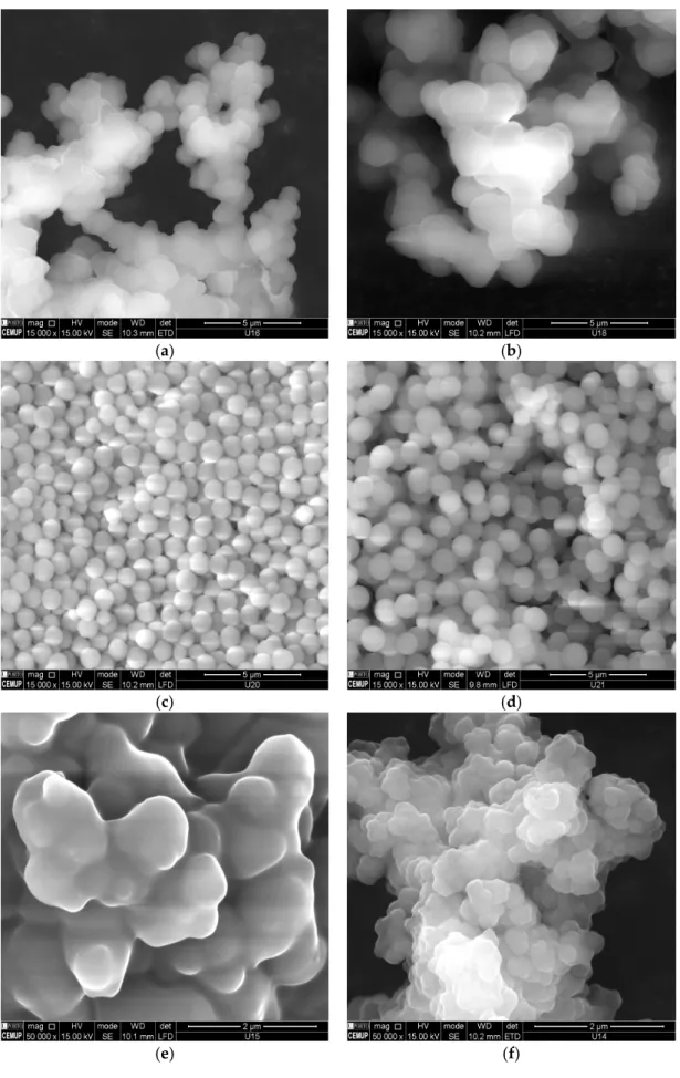 Figure 2. SEM images for different MIPs synthesized in this research: (a) MIP1 (prec. 