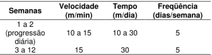 Tabela  2.  Programa  de  corrida  utilizado  no  treinamento dos camundongos Apo E  (-/-)