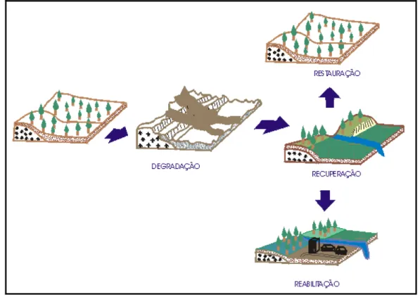 Figura 3-1 Ilustração da contextualização dos temos Restauração,  Recuperação e Reabilitação Adaptado Bitar e Braga (1995)