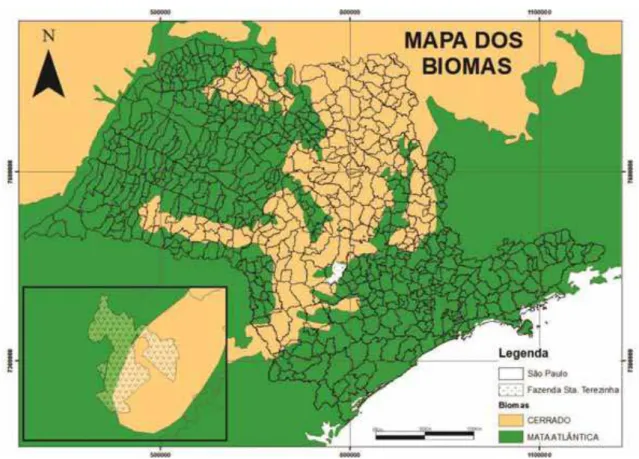 Figura 4-6. Localização da Fazenda Santa Terezinha no mapa de Biomas do  Instituto Florestal de São Paulo