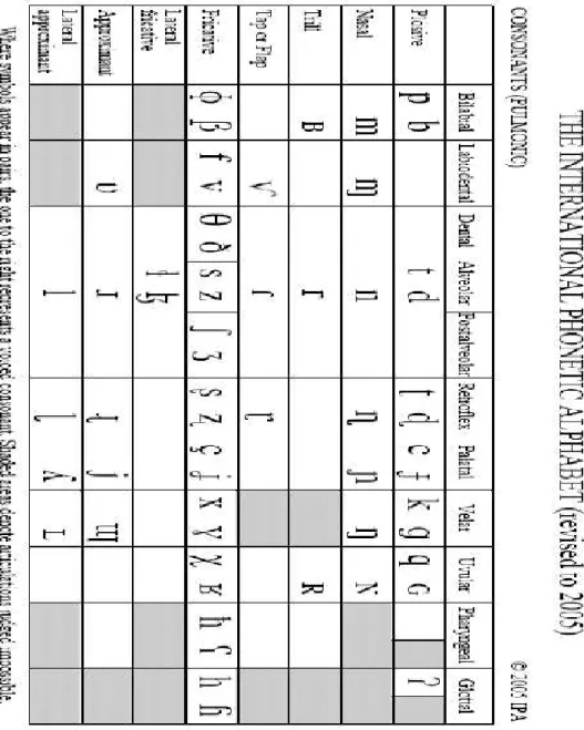 Figura 01: Tabela das consoantes do AFI, retirada do endereço eletrônico:  http://www.langsci.ucl.ac.uk/ipa/images/pulmonic.gif