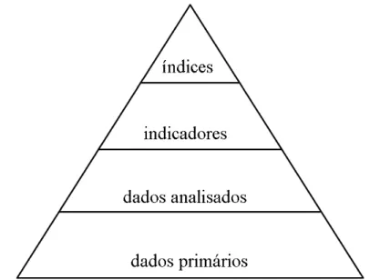 Figura 5 – Pirâmide de informações de Hammond  Fonte: Hammond et al, 1995 