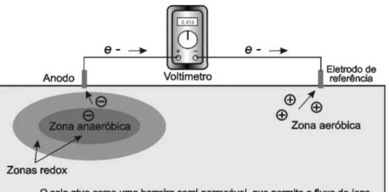 Figura  11  -  Diferença  de  potencial  produzida  pelo  metabolismo  de  bactérias  em  contaminantes orgânicos