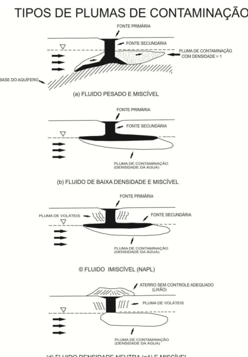 Figura 3. Formas e tamanhos distintos de plumas (DYMINSKI, 2006). 