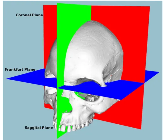 Figure 3.3: The craniometric planes