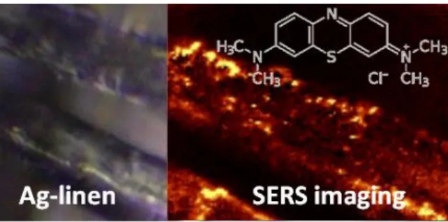 Fig. 1: Optical photograph (left) and Raman  image  (right)  of  a  silver  containing  textile  fibre  dyed  with  methylene  blue  (chemical  structure shown)