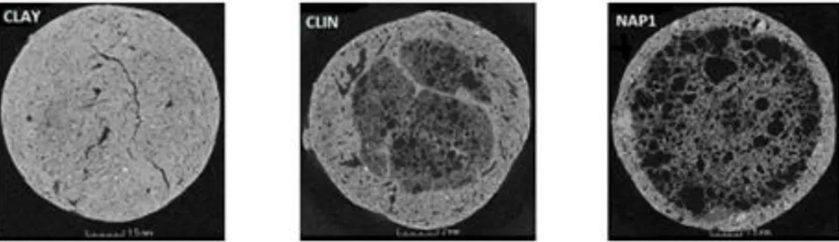 Figure 1. Exemplary 2D cross-sectional images derived from microtomography for the studied  materials