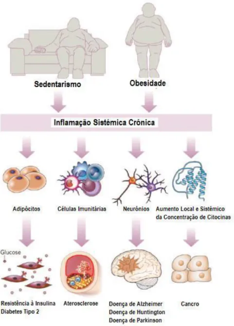 Figura 2 – Inflamação e doenças crónicas (Adaptado de Alexander, 2010) 