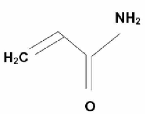Figura 6 – Estrutura química da acrilamida  (Adaptado de Quali – Segurança Alimentar, 2015) 