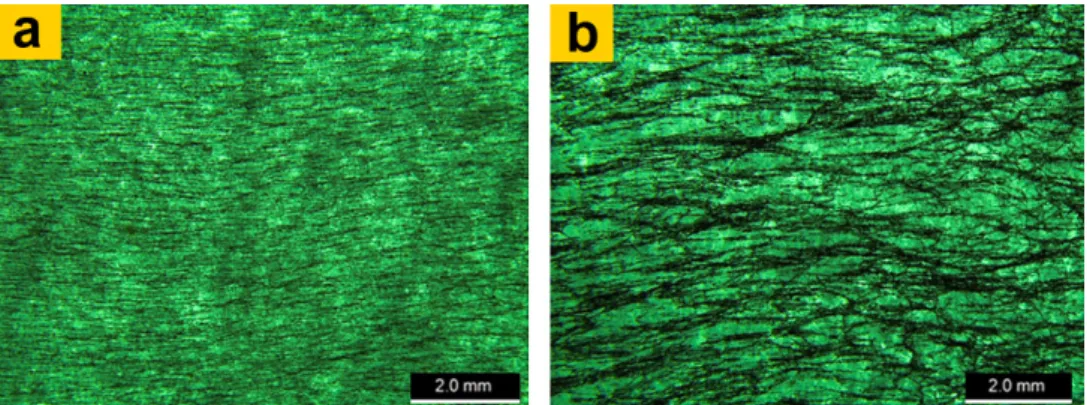 Figure 2.21: Optical micrographs of 0.3 wt.%CNT/epoxy showing MWCNT networks in composites cured after (a) 5 min and (b) 15 min of the application of the electric field [58].
