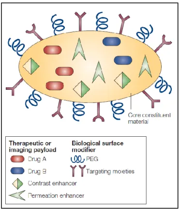 Figure 3 – Multifunctional nanoparticle illustration. Adapted from [20]. 