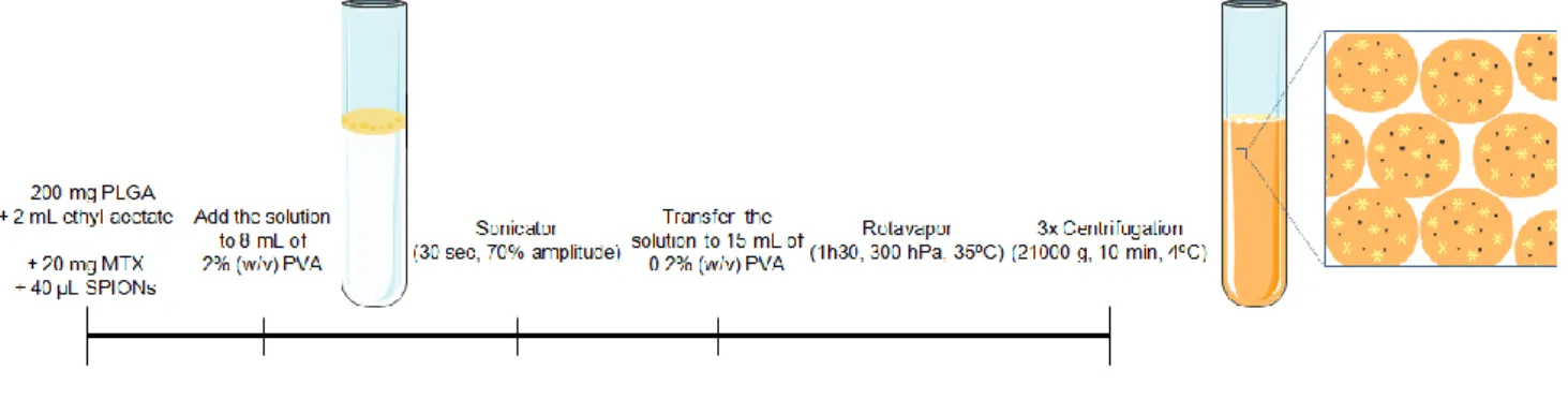 Figure 9 – Schematic of the preparation of multifunctional PLGA NPs. 