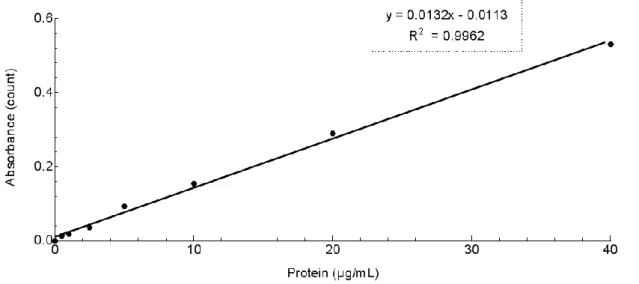 Figure 12 – Standard curve for protein quantification using the BCA Assay Kit. 