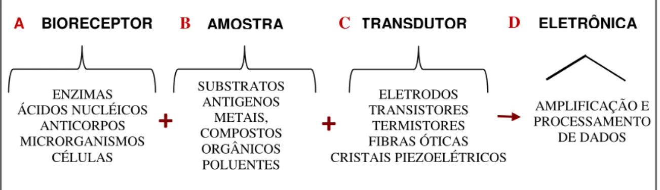 FIGURA 1  –  Esquema de funcionamento geral dos biossensores, adaptado de (PUNDIR; NARANG,  2013) e (GRIESHABER et al., 2008)