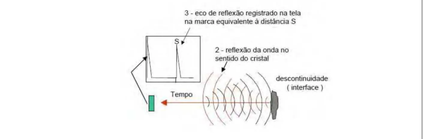 Figura 5 -  Esquemática de funcionamento de aparelho – Eco de reflexão. 