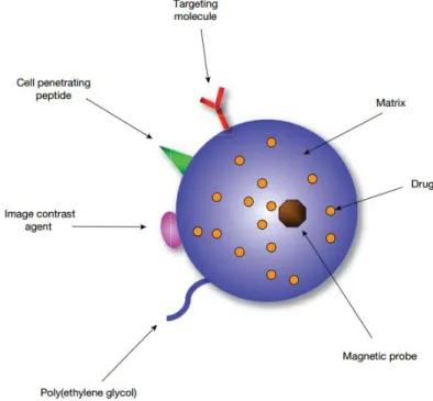 Figure 1-3 – Schematic representation of a multifunctional NP. Adapted from [17].